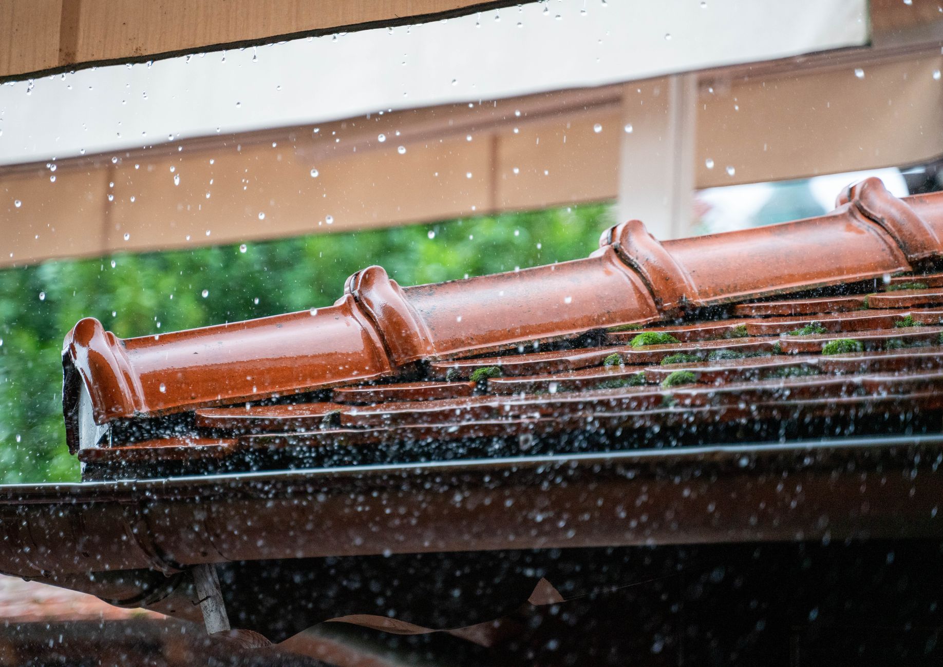 Storm Damage – San Antonio